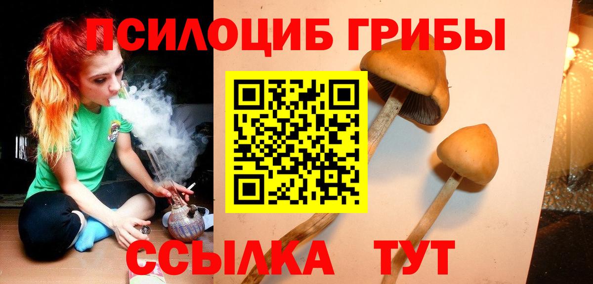 Электросталь  Галлюциногенные грибы мухоморы  Вход с VPN 